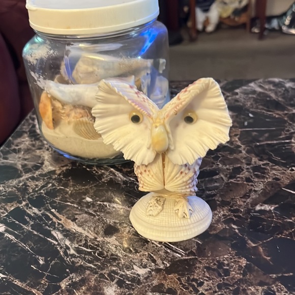 Sea shells - Picture 3 of 7